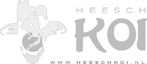 logo Heesch KOI removebg preview | Heeren-Uden